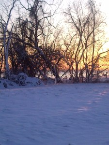 Sunset view on my daily route 