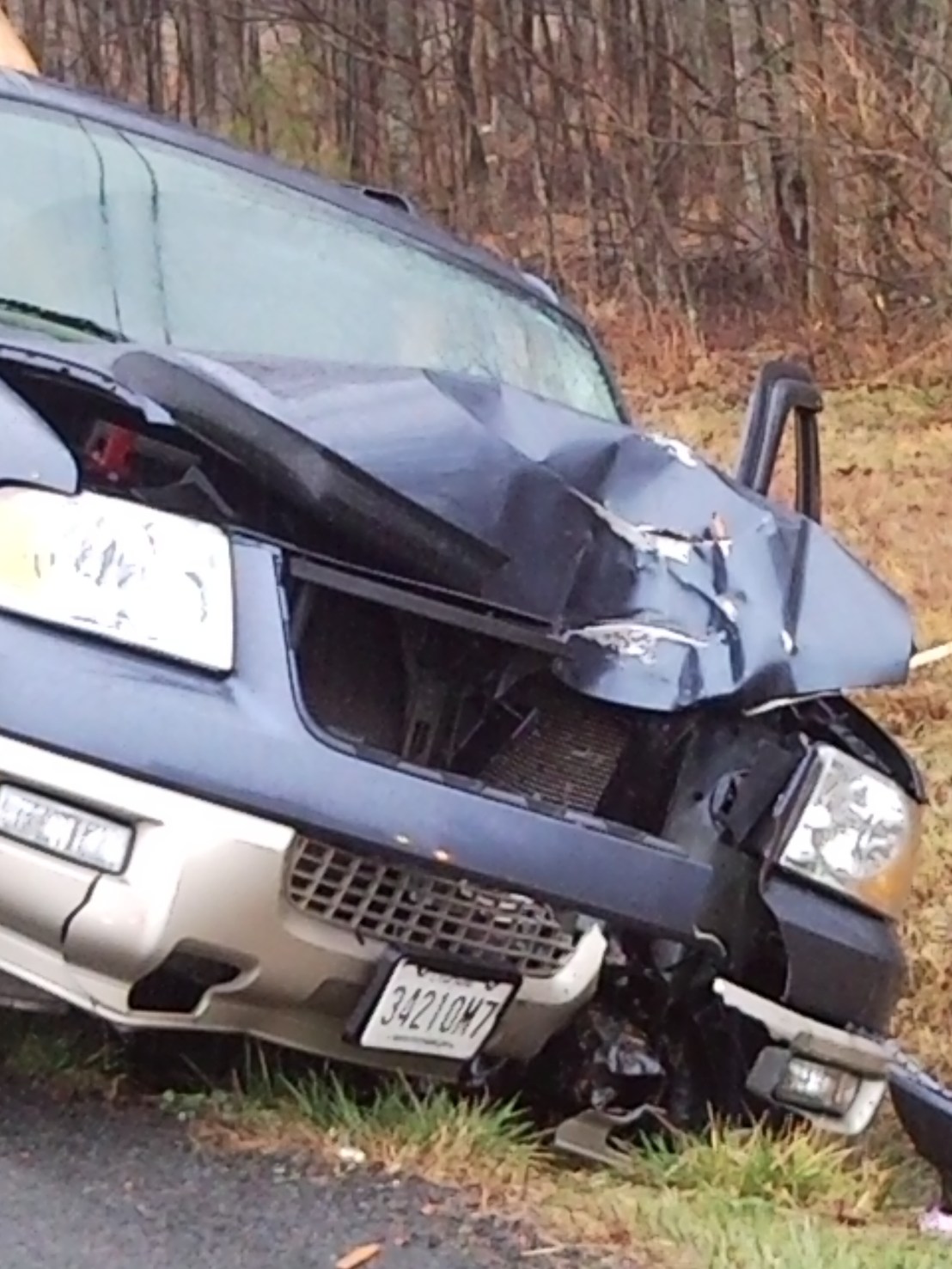 Front view, pole damage